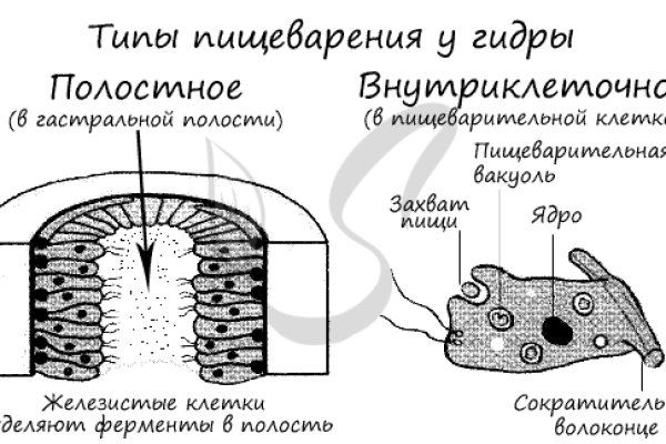 Кракен оригинальная ссылка для тор