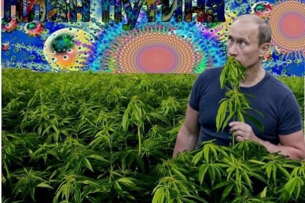 Кракен наркомаркетплейс