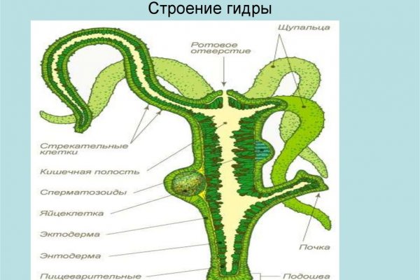 Кракен перейти