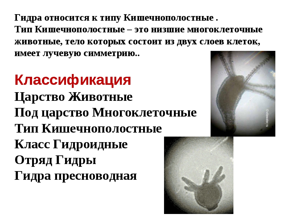 При входе на кракен пишет вы забанены